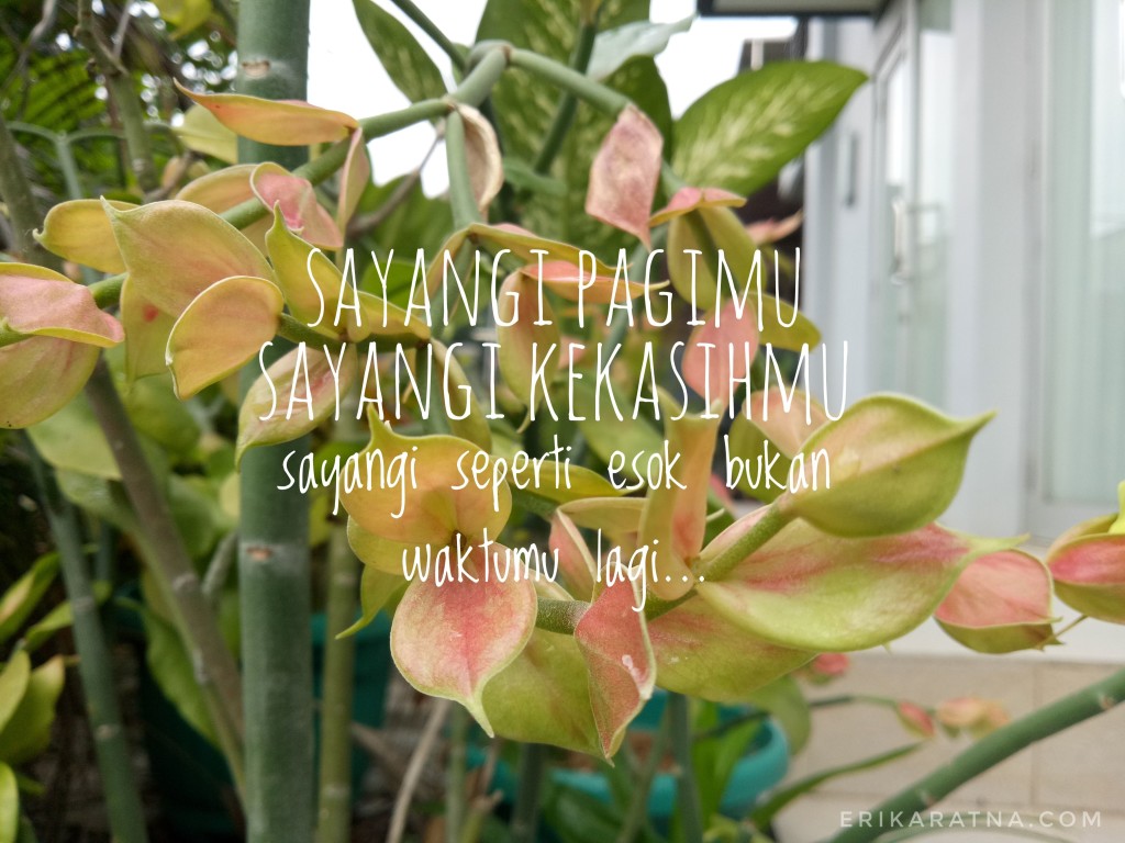 erikaratna.com
